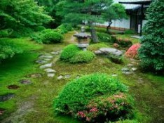 zen